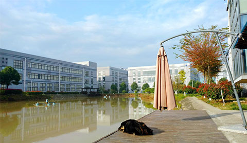 “綻放微笑 快樂(lè)工作”║奧聯(lián)微笑日活動(dòng)